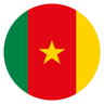 Flag of Cameroon