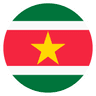 Flag of Suriname